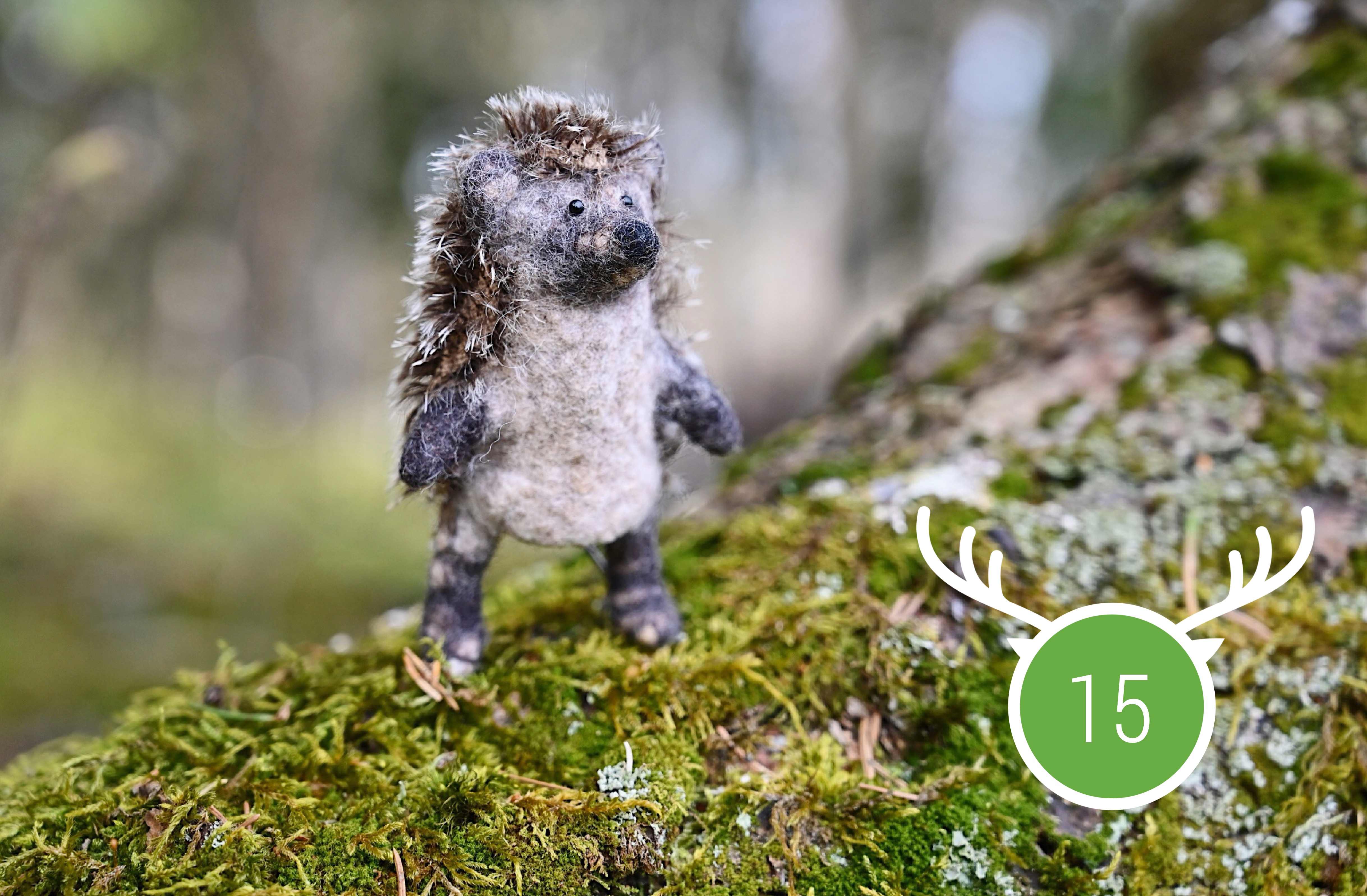 Wild Marathon 2025. Game 15.  July.