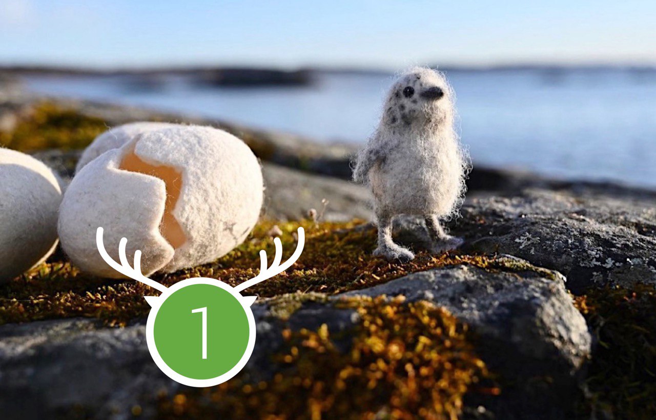 Wild Marathon 2023. Game 1. March.