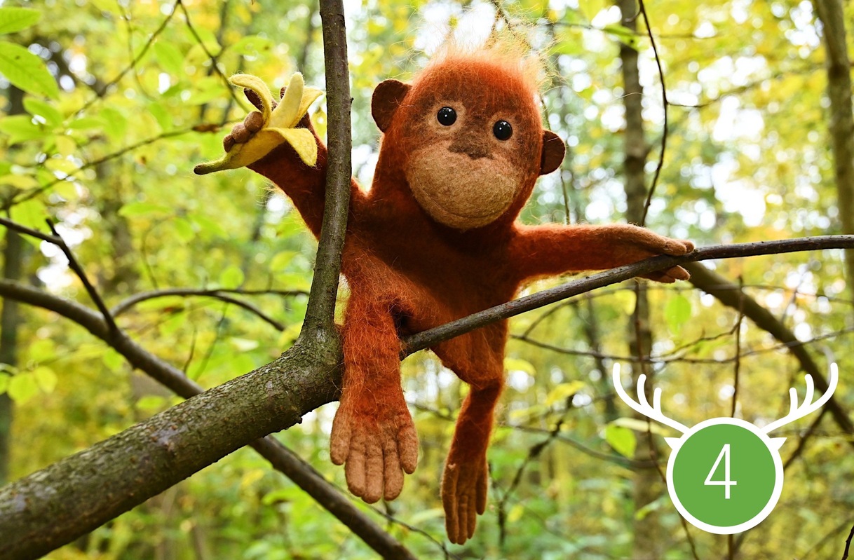 Wild Marathon 2023. Game 4. June.