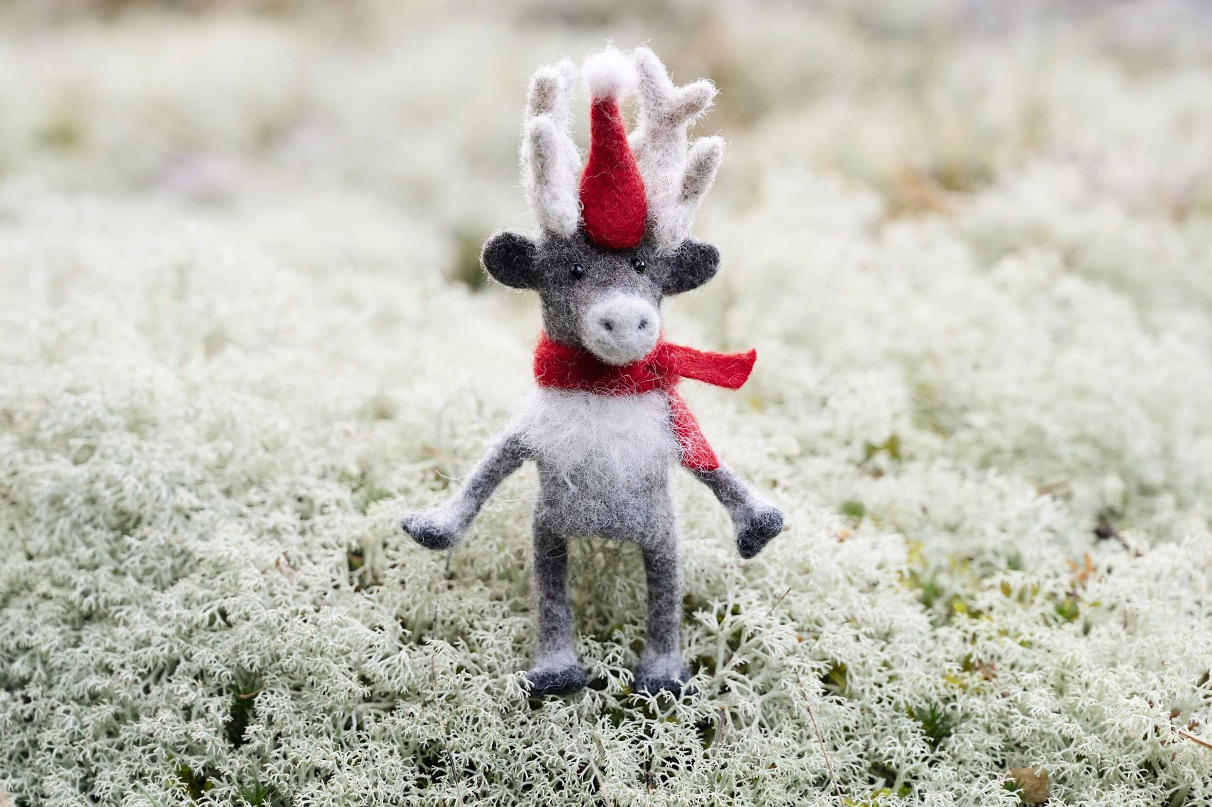 Reindeer Finger Puppet Livestream Course