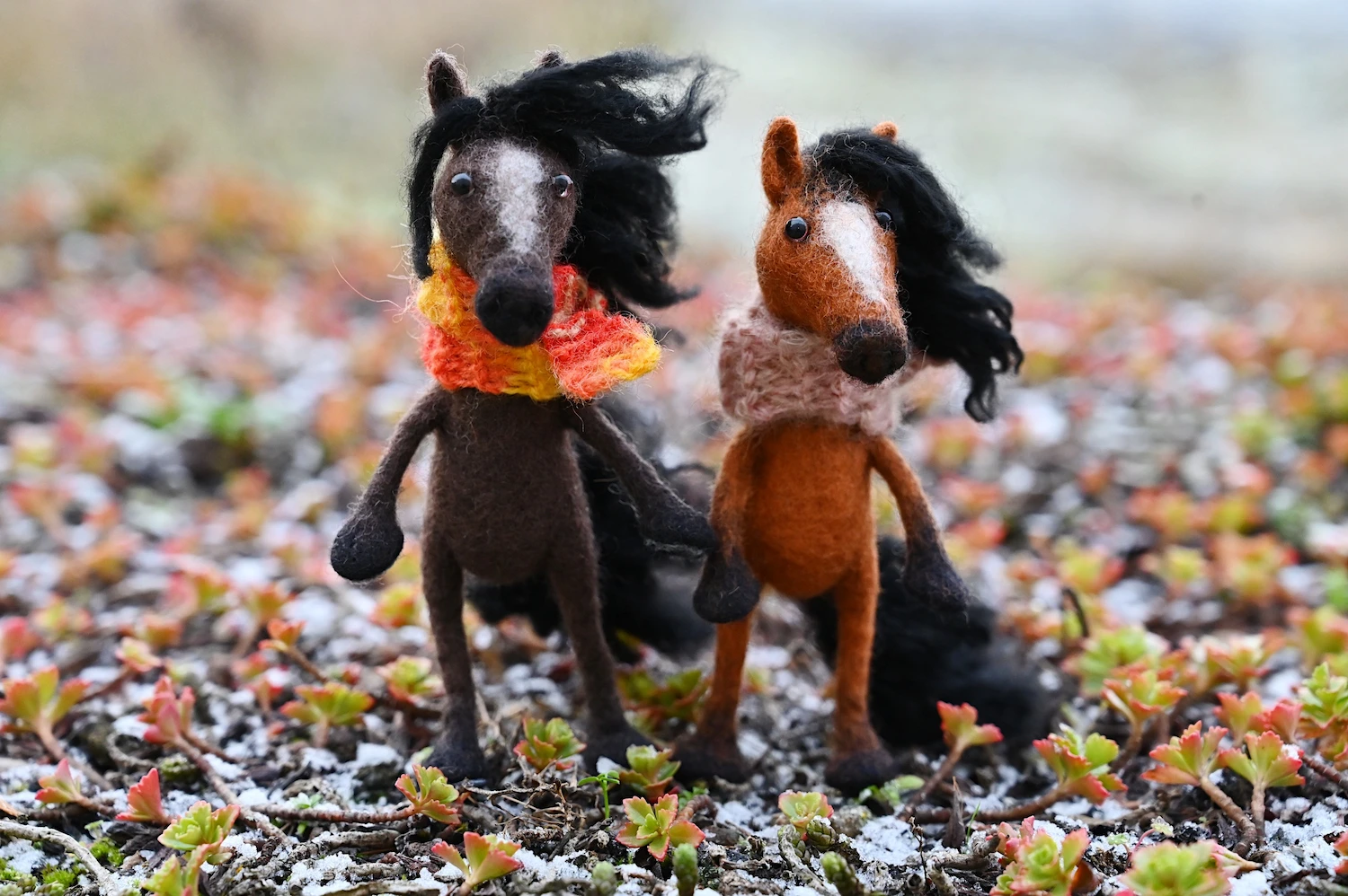 The Miniature Horse Livestream Course