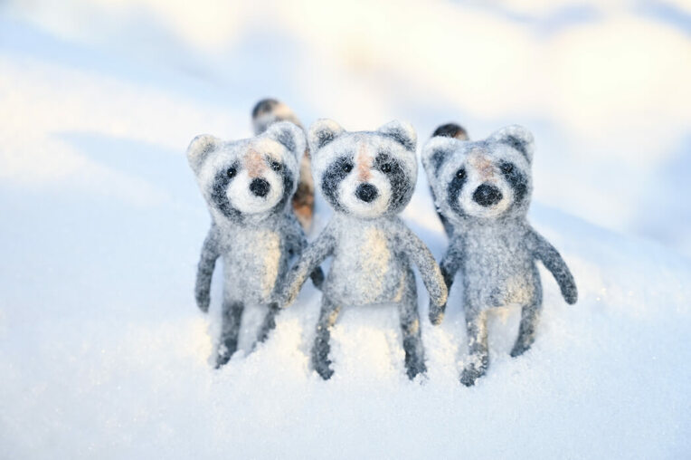 Record of Finger Puppet Raccoon Livestream Course