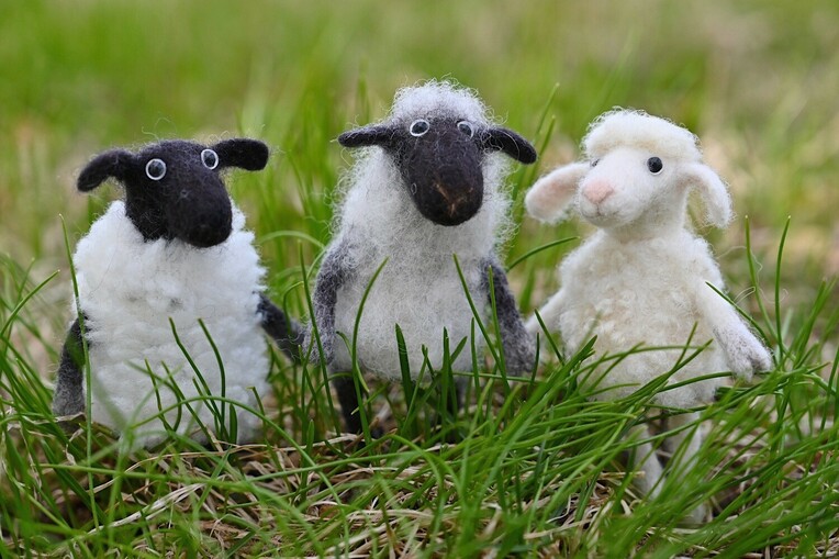 Sheep Finger Puppet Livestream  Course