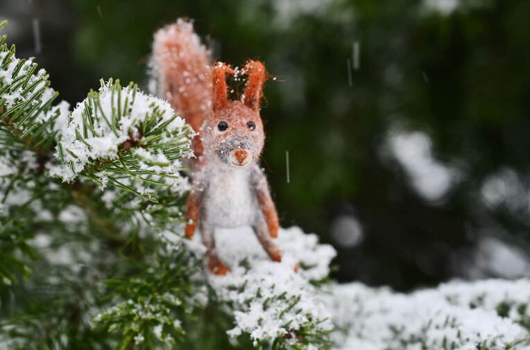 Стрим-курс "Звери на каникулах: Пальчиковая белка"