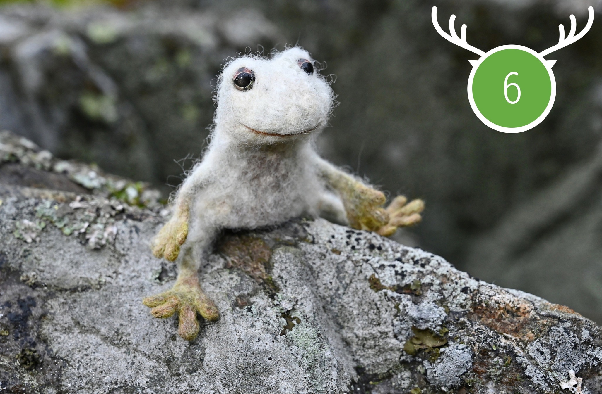 Wild Marathon 2023. Game 6. August.