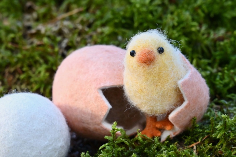 Стрим-курс по пальчиковому цыплёнку в яйце