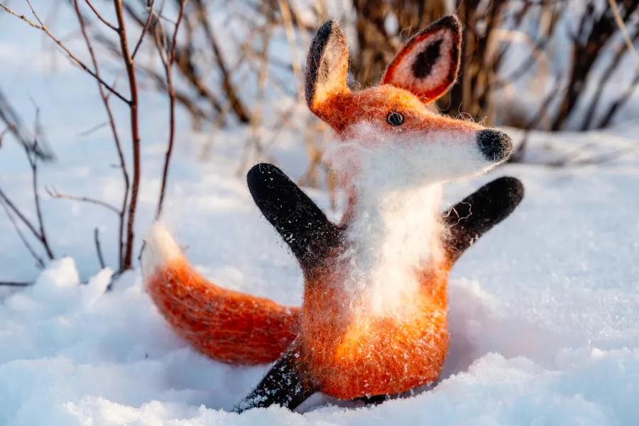 Стрим-курс по лисе-бибабо