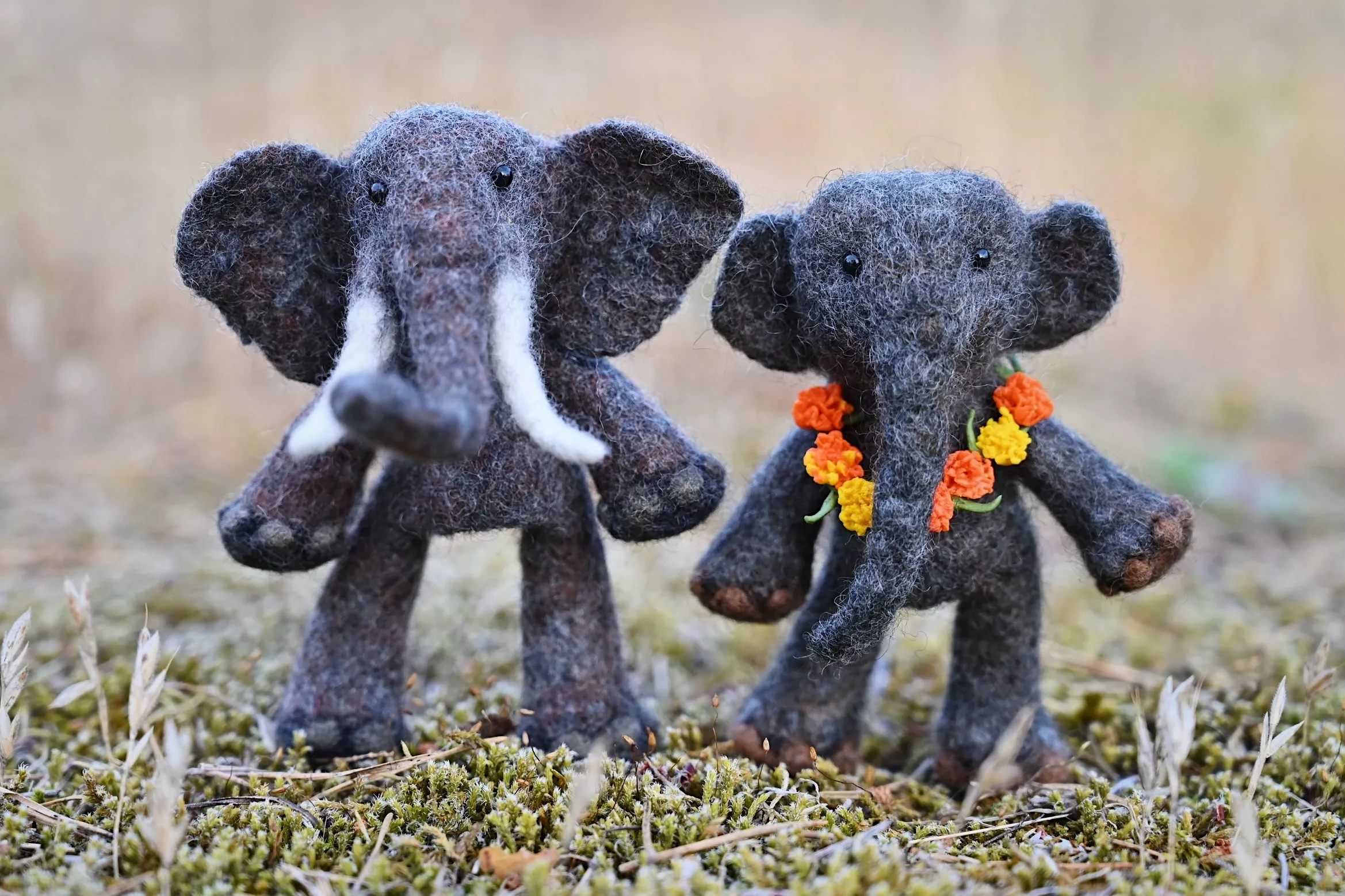 The Elephant Finger Puppet Livestream Course