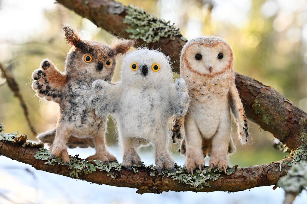The Miniature Owls Online Course