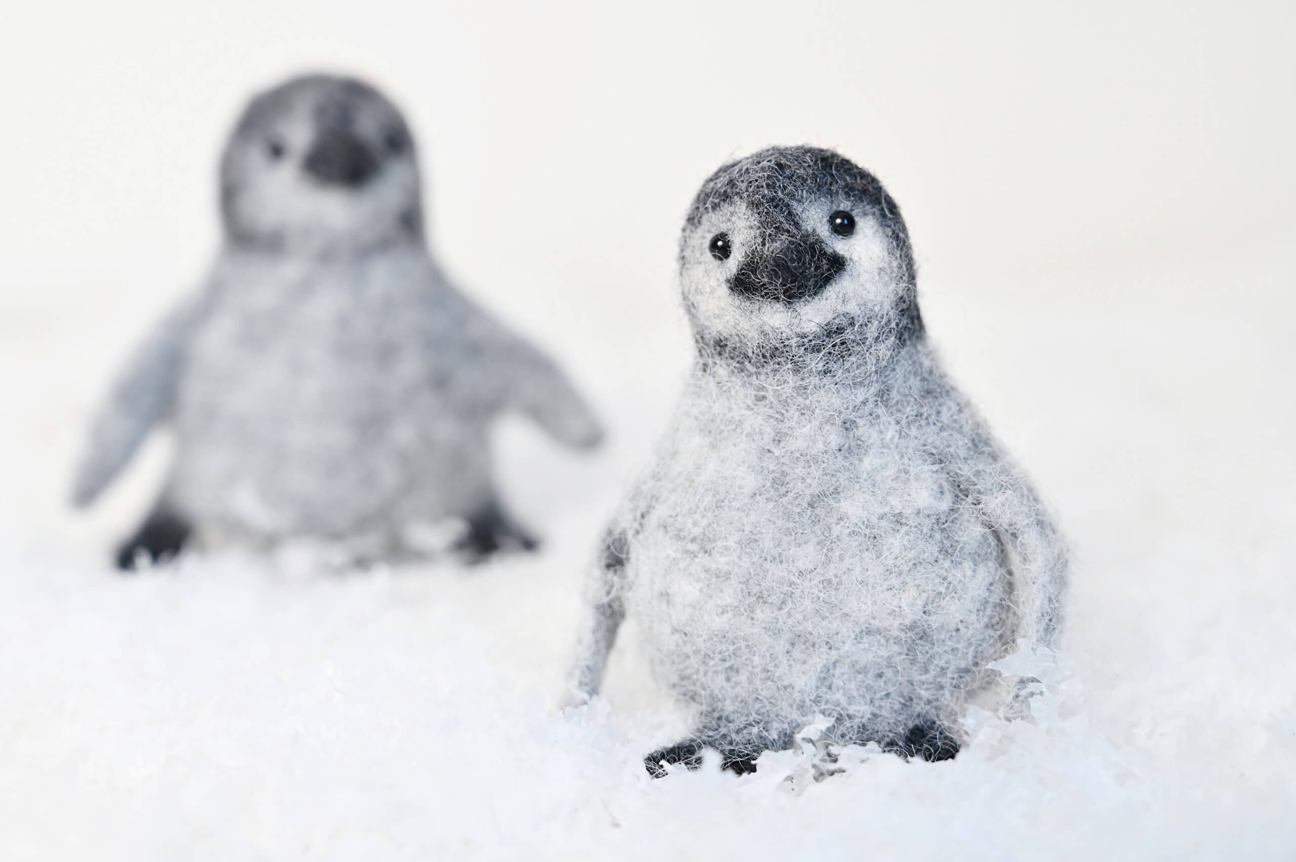 Penguin Chick Finger Puppet Livestream Course