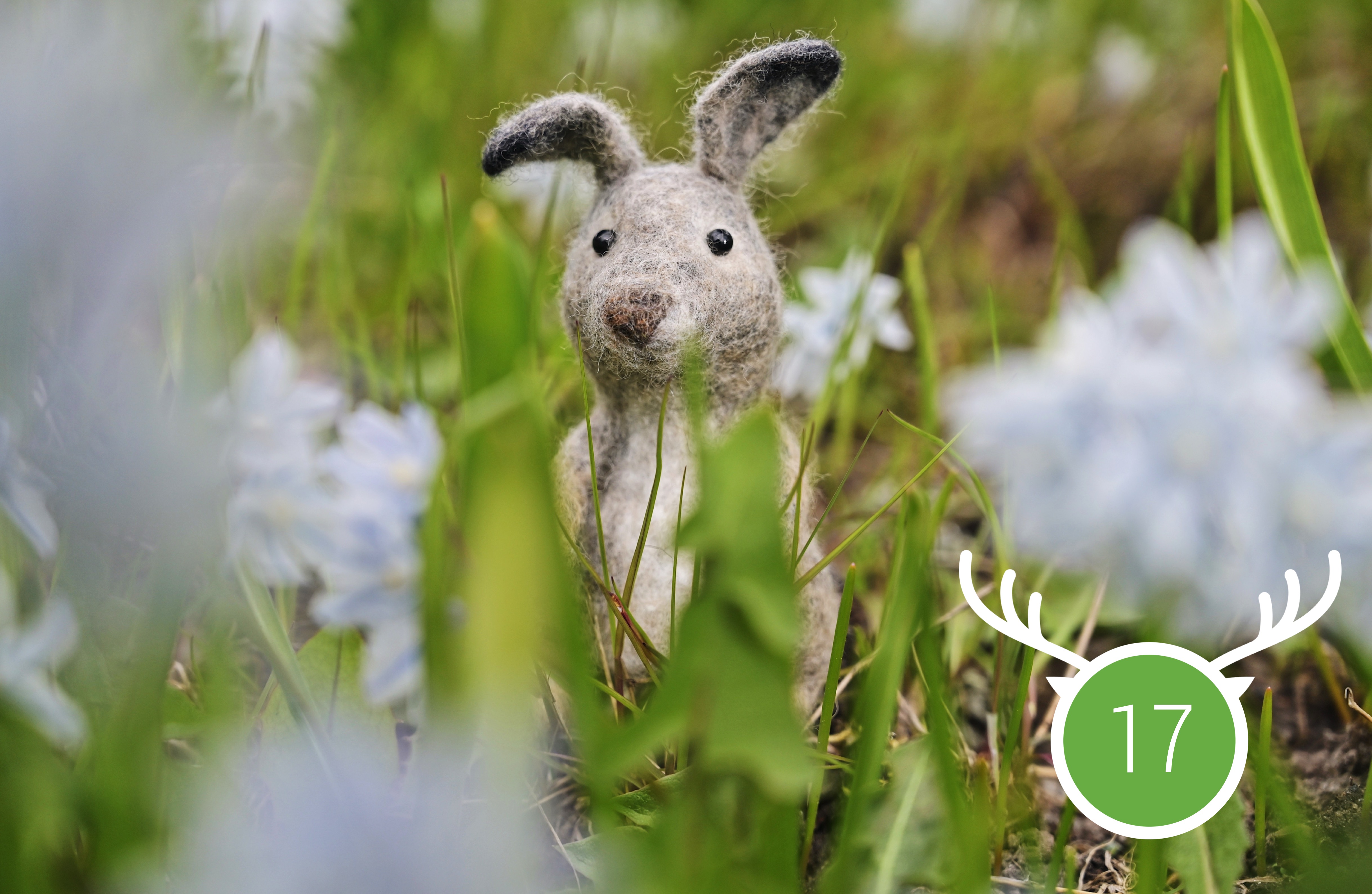 Wild Marathon 2025. Game 17. September.