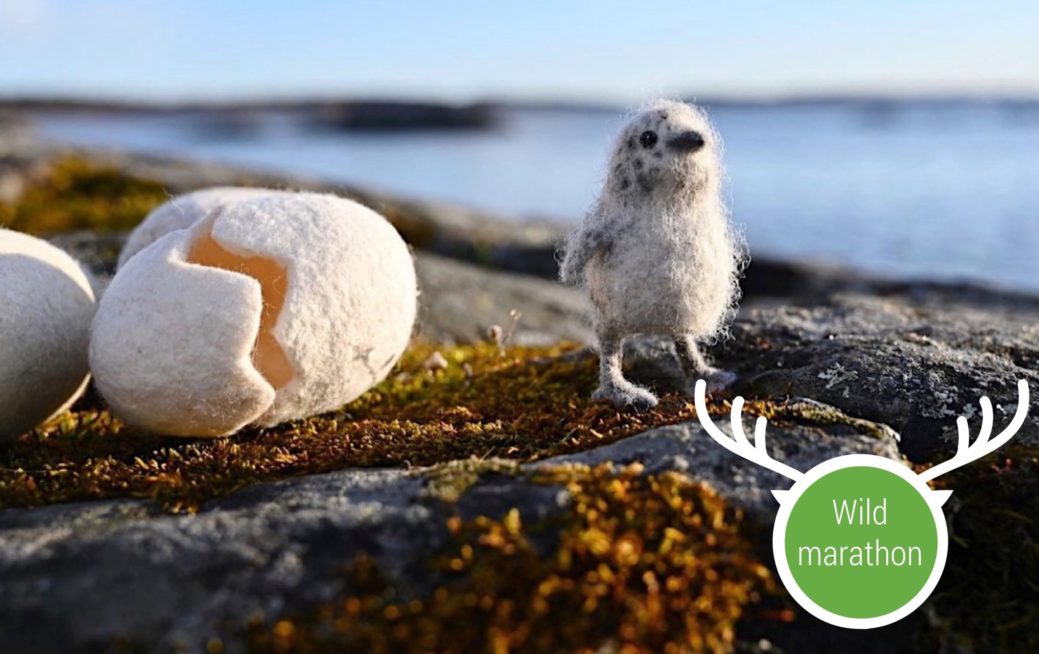 Wild Marathon