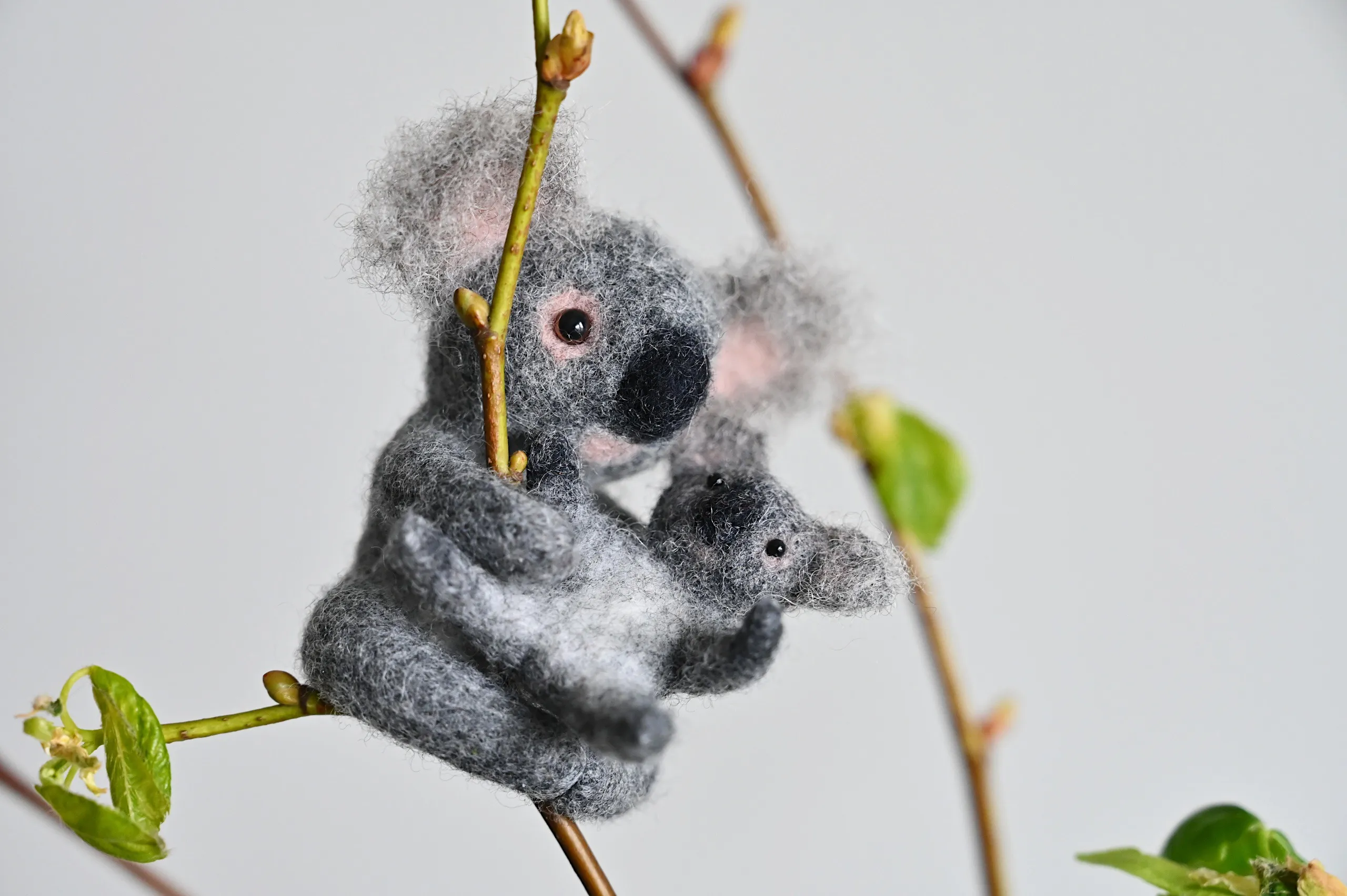The Koala Miniature Livestream Course