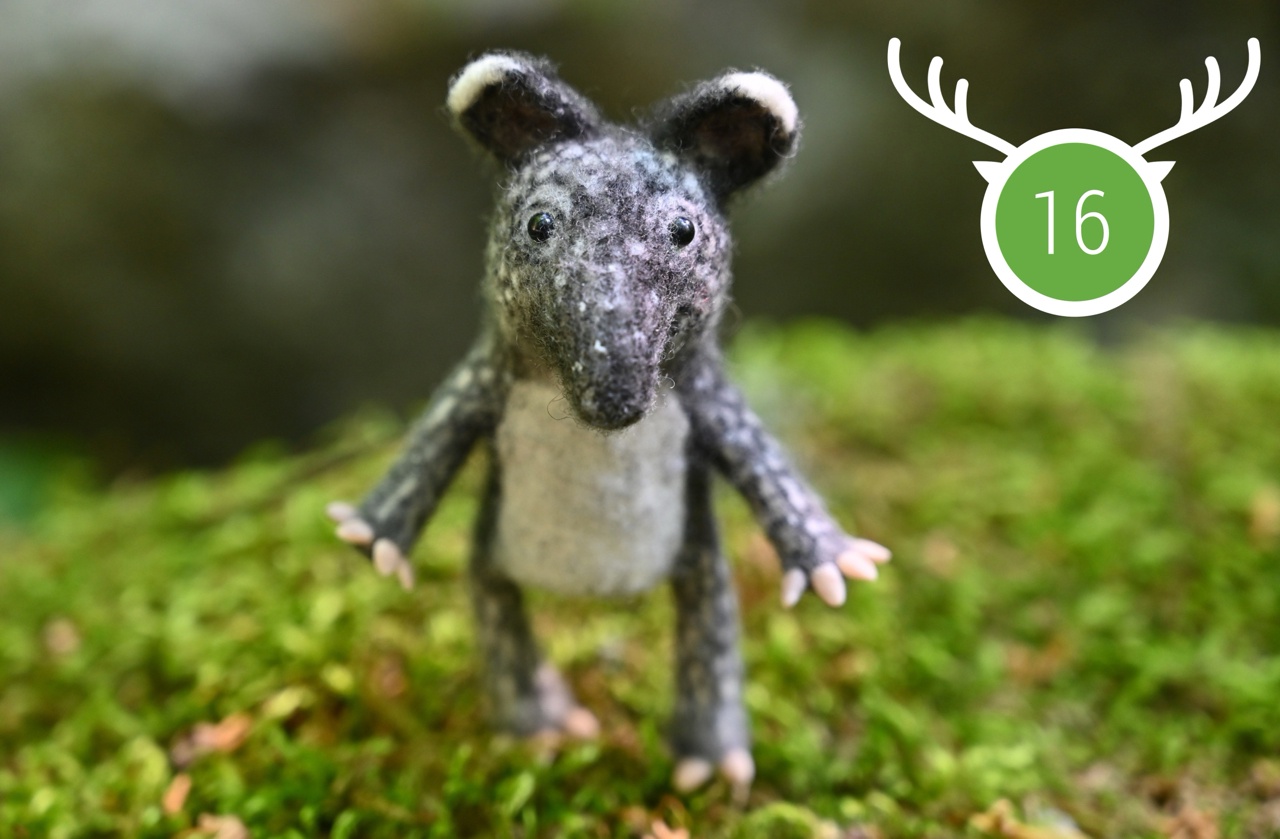 Wild Marathon 2025. Game 16.  August.