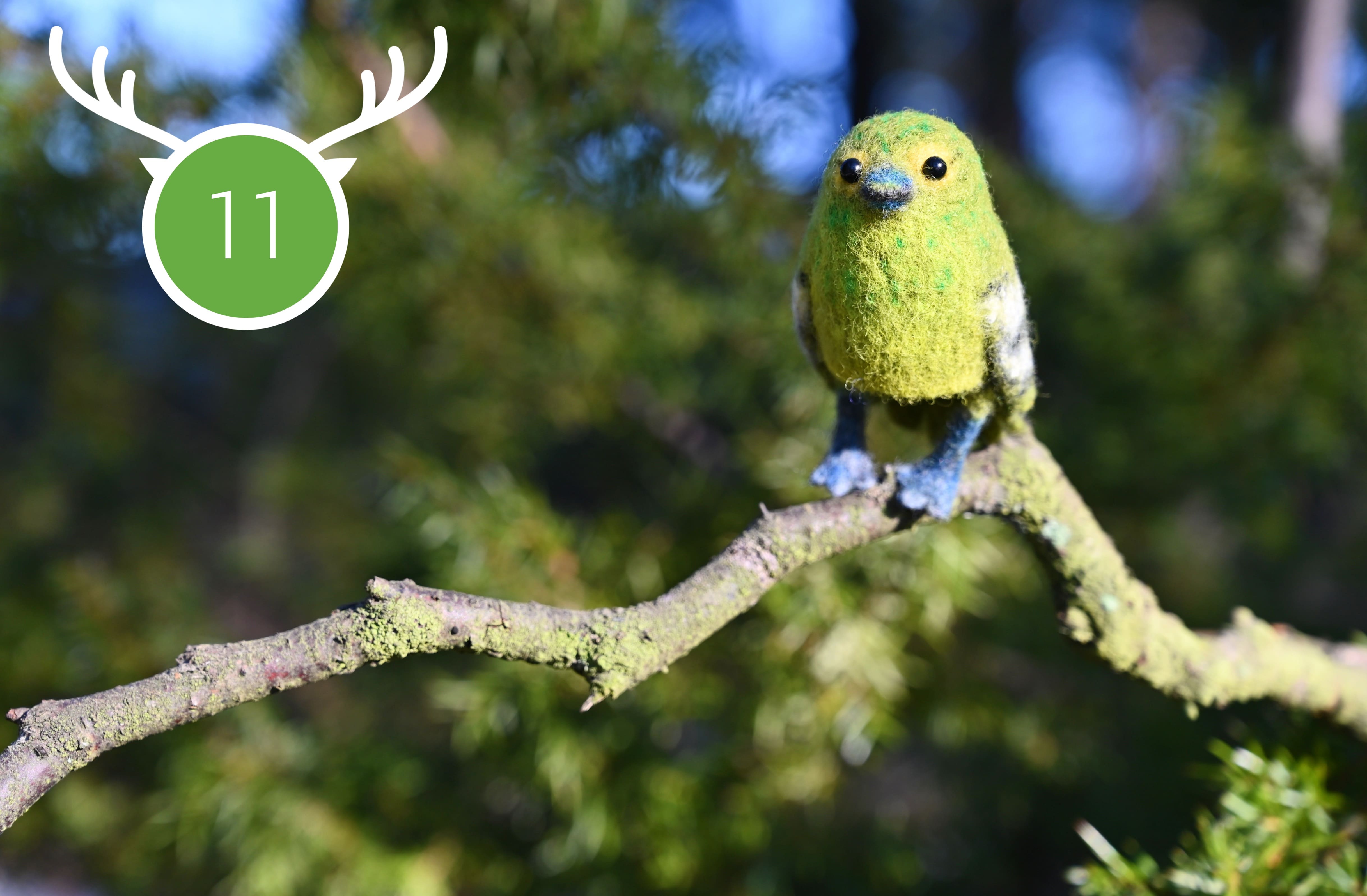 Wild Marathon 2024. Game 11. March.