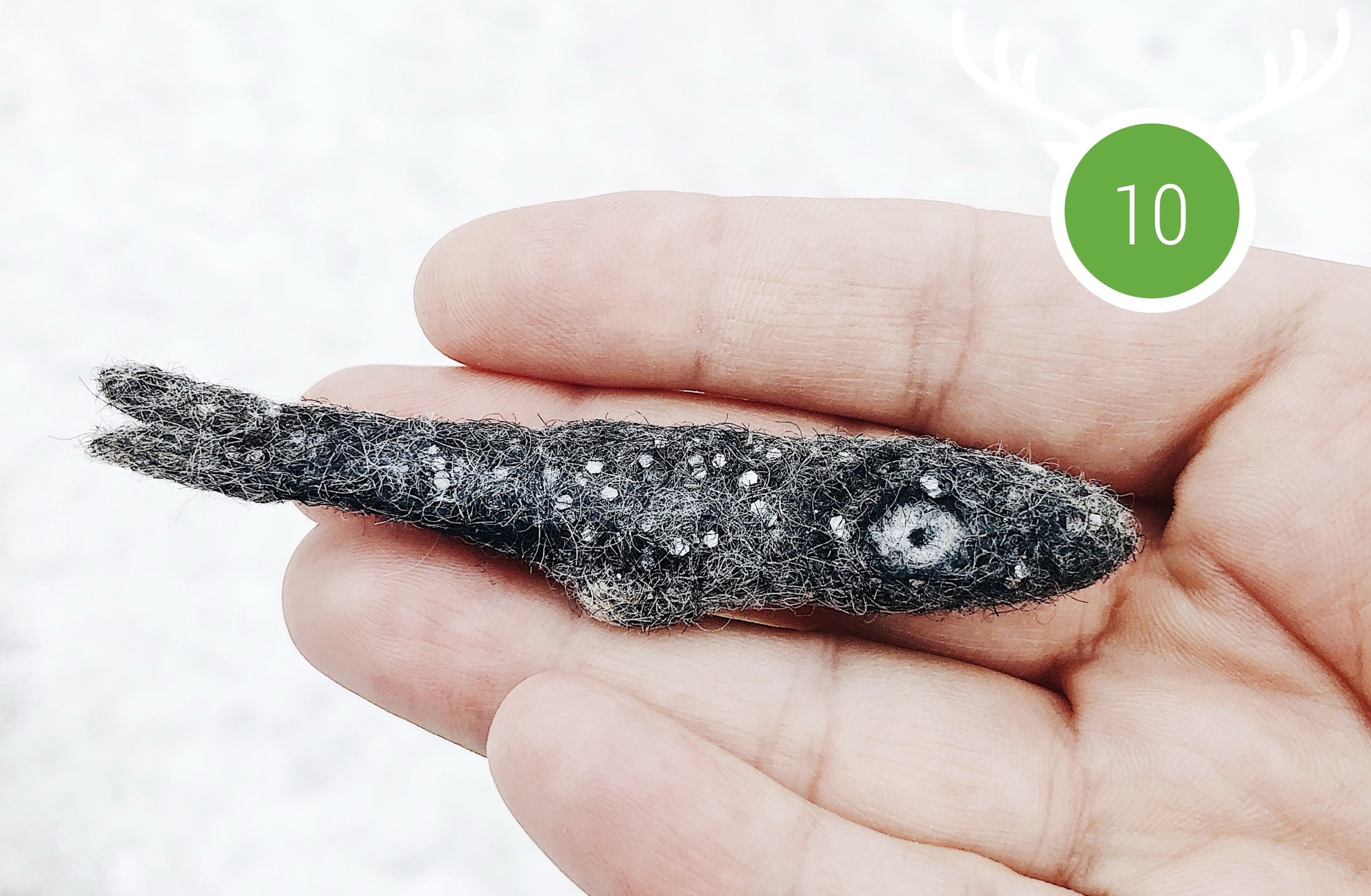 Wild Marathon 2023. Game 10. December