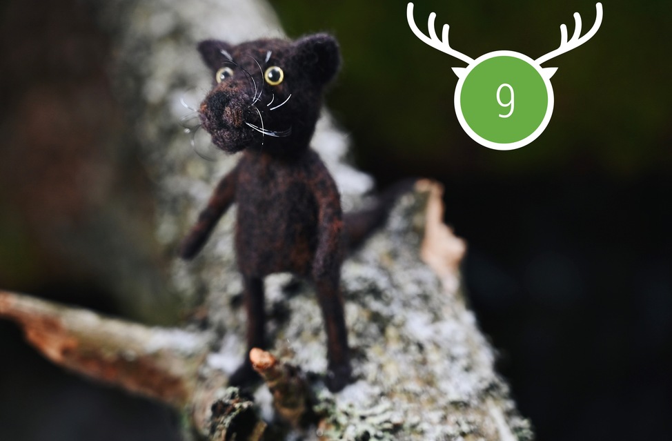 Wild Marathon 2023. Game 9. November