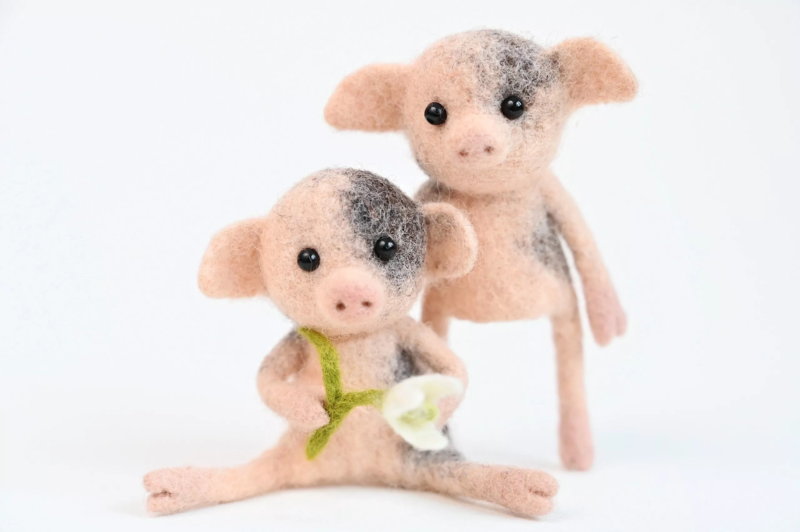 The Two Piglets Livestream Course